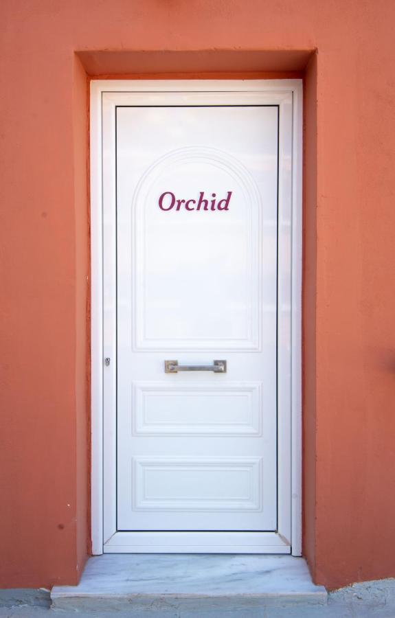 Ferienwohnung Orchid Athens Over Rooftop Studio Exterior foto